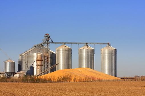 Grain Bins And Corn Pile In Iowa Stock Photo & More Pictures of