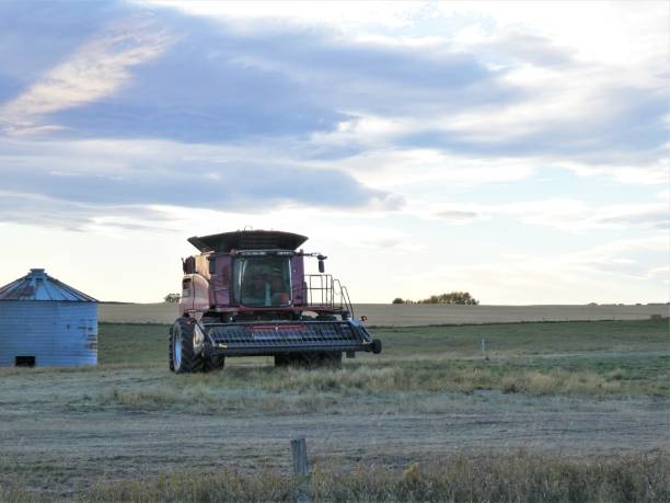 Grain Combine Resting in the Field During the Evening Hours. stock photo