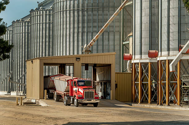 Grain Elevator and Truck, Central Valley, California stock photo