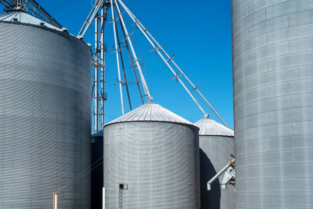 Grain elevator business with large storage bins of corn, grain, soybean. stock photo