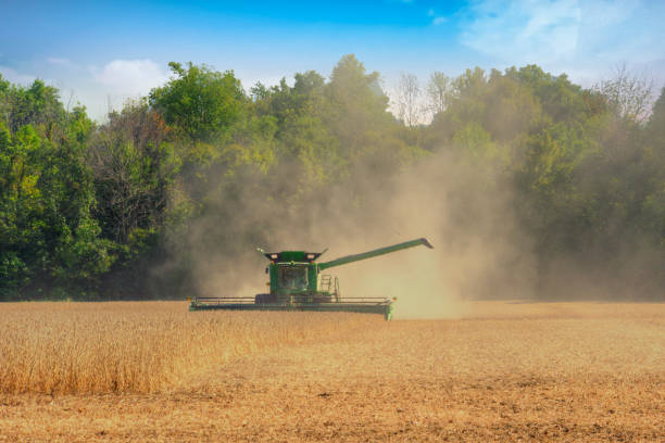 Grain Harvest; Howard County, Indiana stock photo
