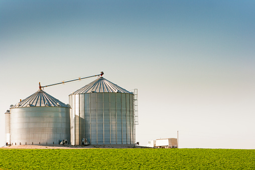 Horizontal rural landscape showing two metal grain bins with a green farm field in the foreground and a semi truck next to the bins, ready to load cereal plant harvest for the agricultural industry. It’s a bright, sunny day with a clear blue sky in the Midwest, U.S.A.
