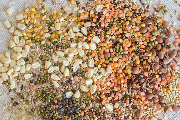 grains and beans stock photo