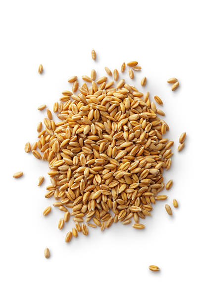 grains: spelt - buğday stok fotoğraflar ve resimler
