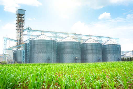 Granary elevator modern silver silo in processing and manufacturing plants for the processing, drying and storage of agricultural products, flour, grains and grains.