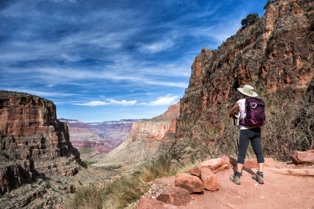 Grand Canyon Travel mature female hiker enjoying the view on the soutern rim of the Grand Canyon south rim stock pictures, royalty-free photos & images