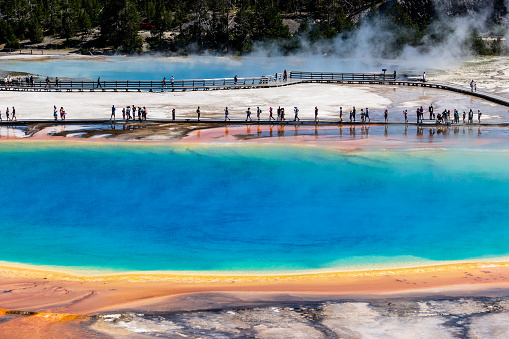 View of Grand Prismatic Spring at Yellowstone’s Midway Geyser Basin from overlook.