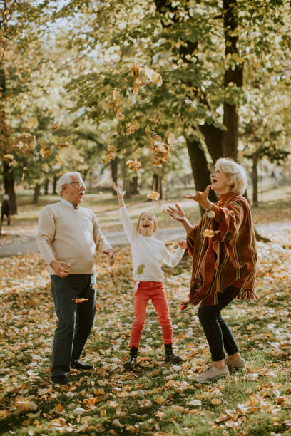 Grandparents enjoying good time with their little granddaughter stock photo