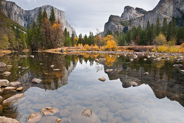 El Capitan Reflected in the Merced River Granite monoliths, grasses and oak trees are reflected in the calm waters of the Merced River in Yosemite National Park, California, USA. Rugged El Capitan is in the upper left of the image. jeff goulden yosemite national park stock pictures, royalty-free photos & images