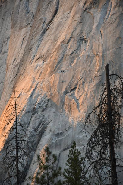 Granite Wall with Climbing Team Yosemite Valley El Capitan steven harrie stock pictures, royalty-free photos & images