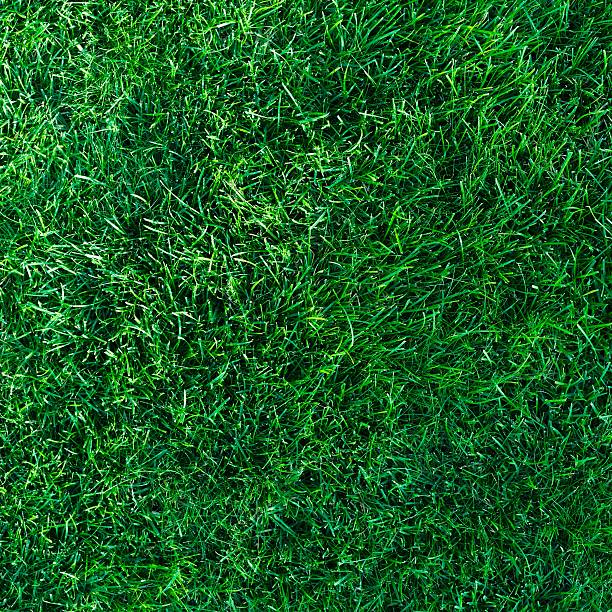 grass background texture - grass texture stockfoto's en -beelden