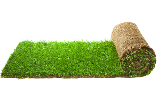 grass-carpet-roll-picture-id860617842