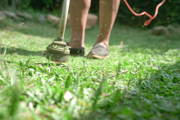 Grass cutting. Man using electric grass trimmer to mow lawn. stock photo
