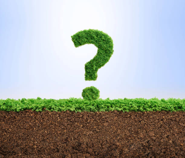 Grass growth environment question concept stock photo