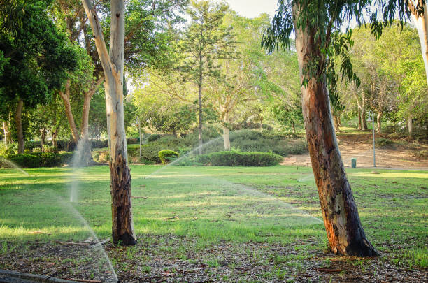 Grass lawn watering in Israel stock photo