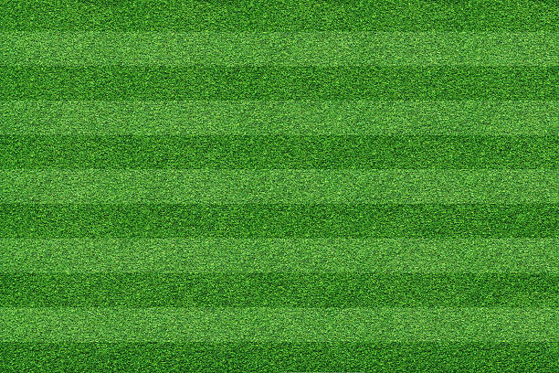 grass of soccer field background stock photo