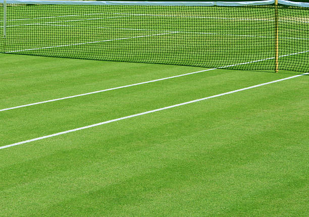 grass tennis court - wimbledon tennis stok fotoğraflar ve resimler