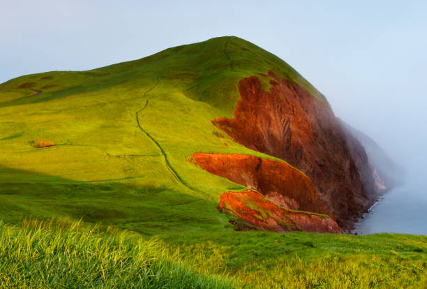 Grassy hills and red cliff stock photo