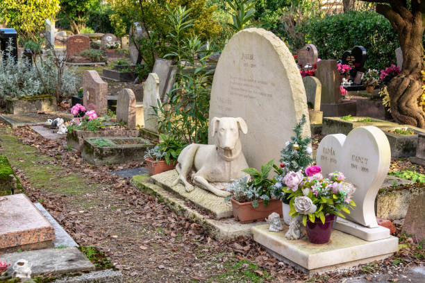 Graves in the pet cemetery of Paris in Asnières-sur-Seine, France. The "Cemetery of dogs and other domestic animals' is the oldest pet cemetery in the world. stock photo