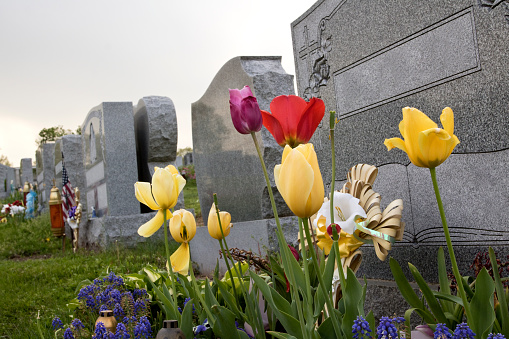 Flowers at the grave.