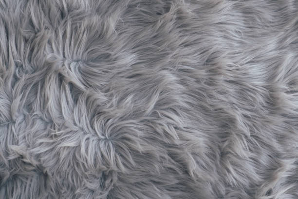 Gray fur background. Mother's day or Valentine's day concept. Minimal background. stock photo