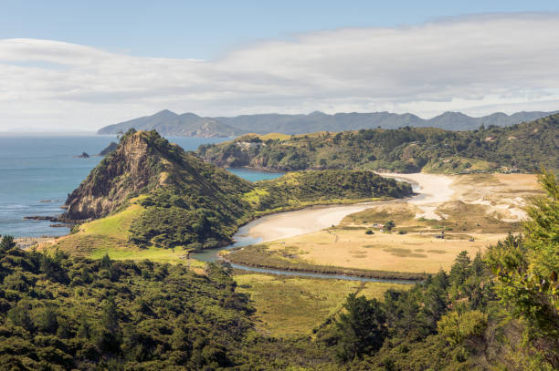 Great barrier island landscape stock photo