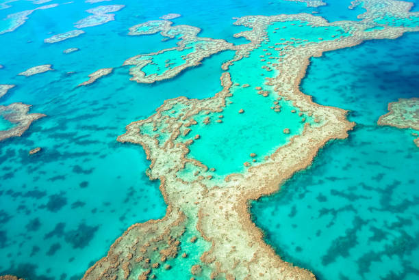 great barrier reef yukarıdan - great barrier reef stok fotoğraflar ve resimler