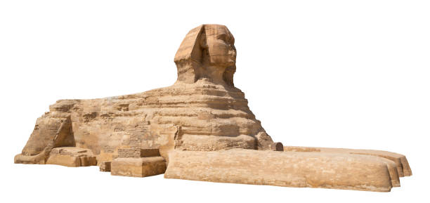 Great egyptian Sphinx Great egyptian Sphinx isolated on a white background sphinx stock pictures, royalty-free photos & images