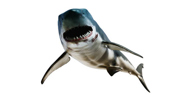 great white shark giant body sea monster, scary oncoming 3d render concept image - 4k upplösning bildbanksfoton och bilder