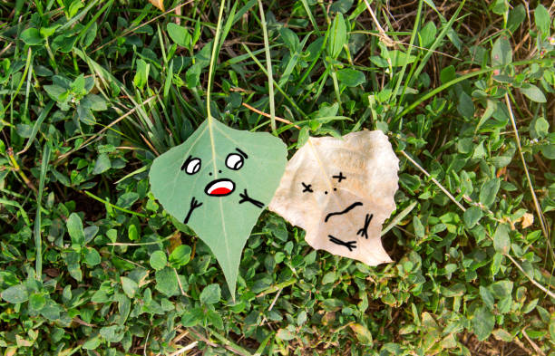 159 Fall Memes Stock Photos Pictures Royalty Free Images Istock