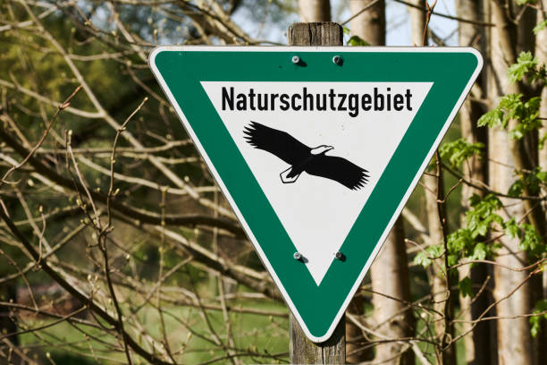 A green and white sign for a nature reserve on the edge of a forest on a sunny day in Rastatt, Germany A green and white triangular sign for a nature reserve on the edge of a forest in Rastatt, Germany. This area is sensitive and must be protected. Trees and grass in the background on a sunny spring day. nature reserve stock pictures, royalty-free photos & images