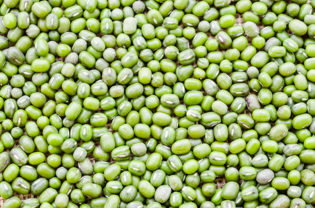 Green bean or mung bean background as background.