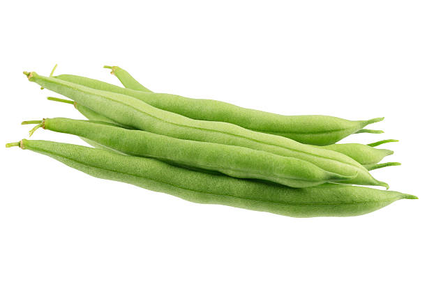 Green Beans Isolated On White "Fresh picked homegrown green beans  isolated on a white background are a healthy, nutritious vegetarian food.Related Images:" runner bean stock pictures, royalty-free photos & images