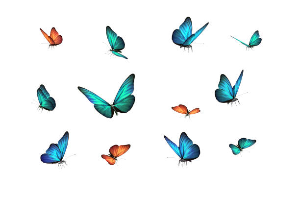 흰색 뒤쪽 바닥에 고립 된 녹색, 파란색 및 빨간색 나비 - 나비 뉴스 사진 이미지