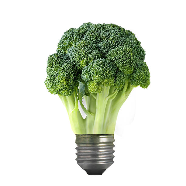 green broccoli  bulb stock photo