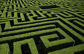 istock Green bushes maze 1325681723