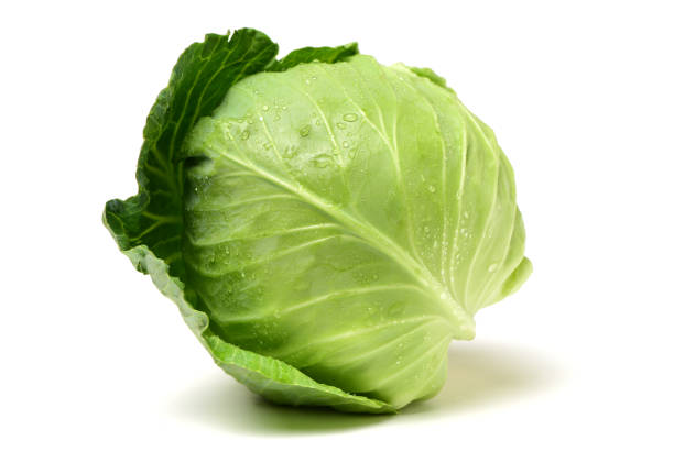 Green cabbage  isolated  on white background Green cabbage  isolated  on white background cabbage stock pictures, royalty-free photos & images
