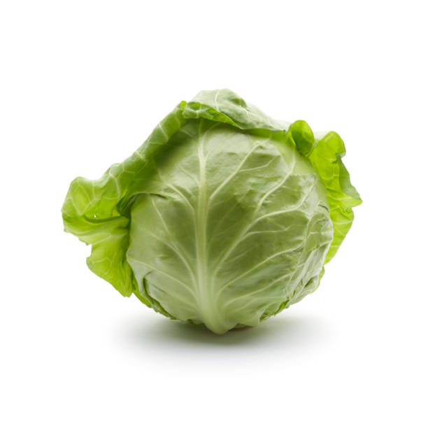 Green cabbage stock photo