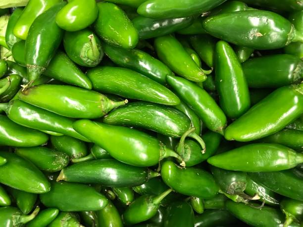 Green chillies stock photo