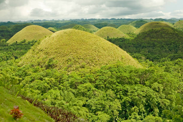 Green Chocolate Hills of Bohol stock photo