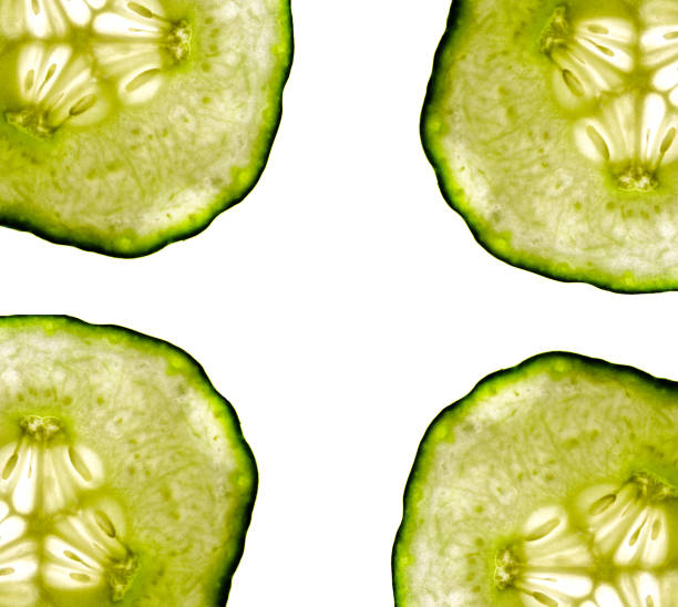 Green Cucumbers stock photo