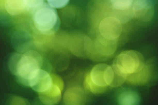 groene milieu wazig boomblad bokeh achtergrond - milieubehoud stockfoto's en -beelden