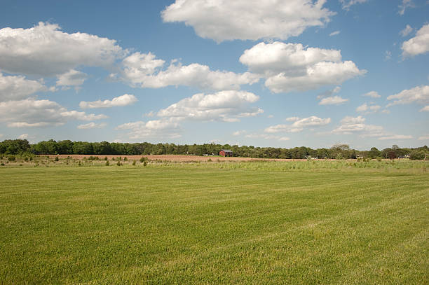 Green field and single house stock photo