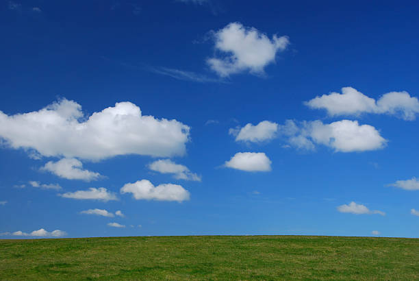 Green field, blue sky stock photo
