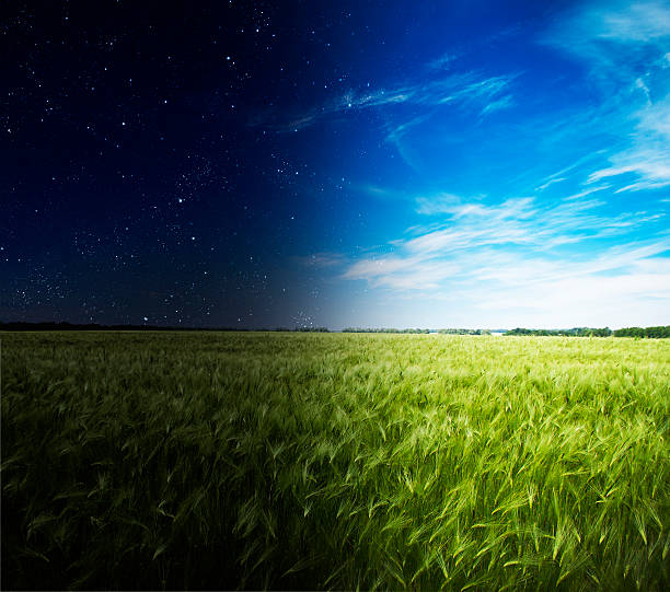 Green field in day and night. stock photo