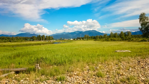Green field near Lake Baikal. Landscape with mountains. stock photo