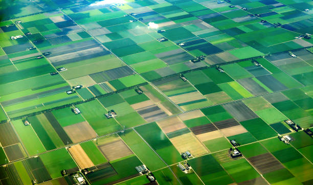 Green fields from an aerial view Aerial view of cultivated agricultural farming land with vivid green color dutch culture stock pictures, royalty-free photos & images
