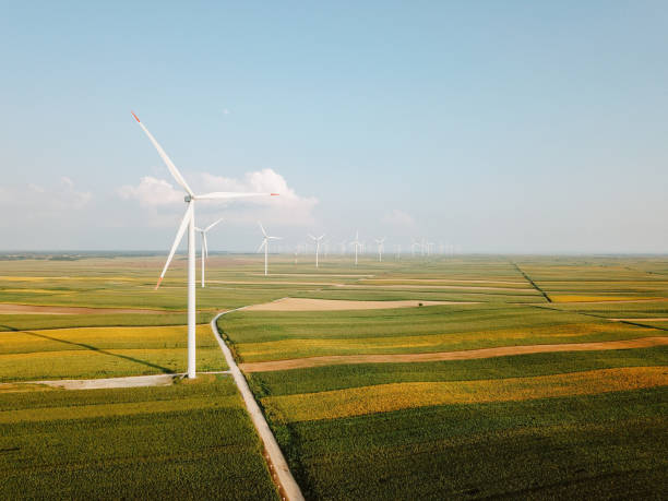 Green fields with wind turbines stock photo
