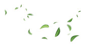istock Green Floating Leaves Flying Leaves Green Leaf Dancing, Air Purifier Atmosphere Simple Main Picture 1339067731
