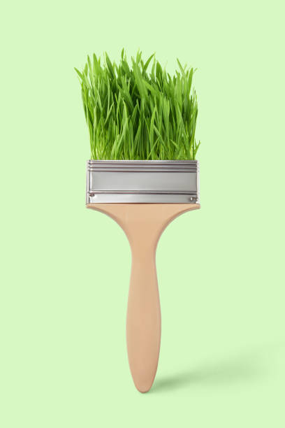 Green fresh grass on a paint brush on a pastel green background, copy space. Painting spring landscape. stock photo